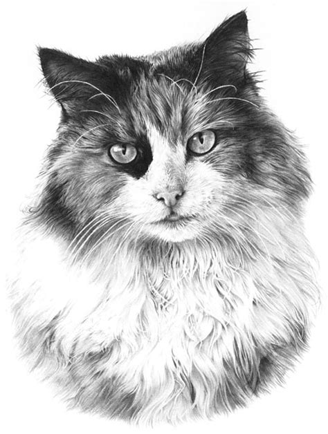 See more ideas about how to draw fur, color pencil drawing, animal drawings. Pencil Drawing Methods | Photo Realistic Pencil Drawing | Graphite Pencil Drawing | Indenting ...