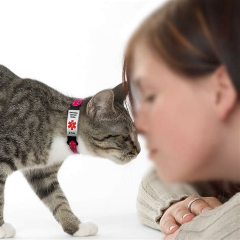 Is emotional support animal registration authentic and legal? Guideline On The Registration Of ESA Cat