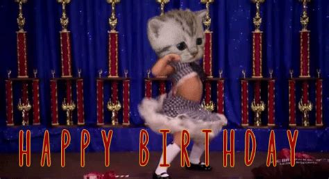 Take a look at this cute cat near the birthday candle! It's my birthday come here and tell me how great I am ...