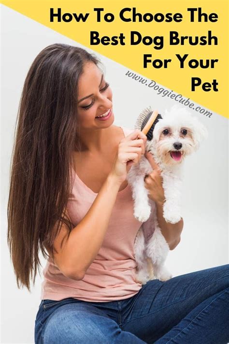 Gm pet supplies self cleaning slicker brush | this is the best dog and cat brush for shedding and grooming | our pet brushes are suitable for all hair lengths 4.4 out of 5 stars 1,653 $12.96 How To Choose The Best Dog Brush For Your Pet (With images ...