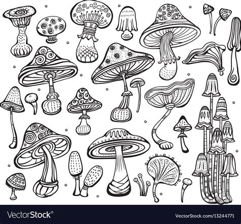Draw two mushroom caps like so and as you can see there is a large one and a much smaller one. Set of sketch of mushrooms Royalty Free Vector Image
