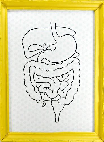 Maybe you would like to learn more about one of these? Digestive System by Caitlin Torrens