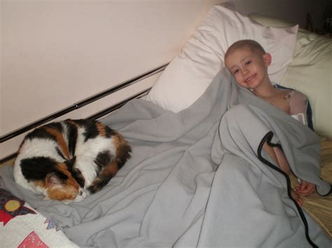 Azov films torrent sources prepared for user. Mattie's Blog and his Fight Against Osteosarcoma