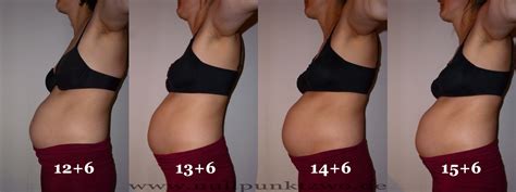 Diese sind bei einer gesunden schwangerschaft und ernährung genetisch bedingt. Bauchbilder 4. Monat | Kind 4 • nullpunktzwo