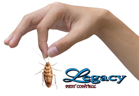 When you have unwanted little guests in your home or office, look no further. Legacy Pest Control, Author at Legacy Pest Control Utah ...