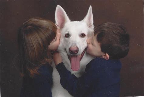 Doug frasher april 21, 2014 Pet Boarding in Groveport | Animal hospital, Pet boarding ...