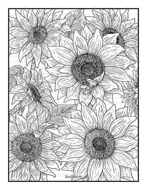 We have collected an amazing variety of them so that you could select the one you will be eager to color together. Sunflowers 8 1/2 x 11 Printable Coloring Page - Color with ...