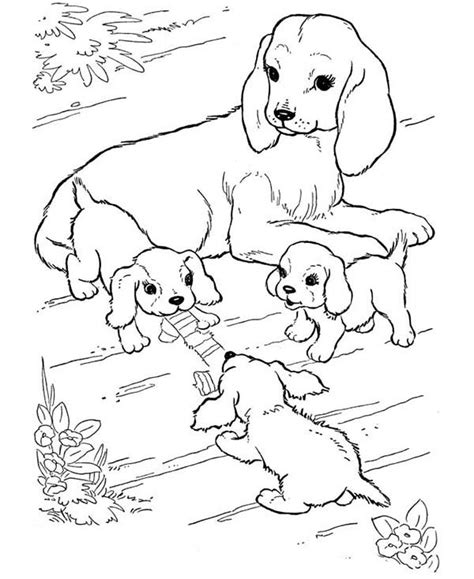 Encourage children to color by providing lots of access to coloring pages and crayons. Mother Of Dog Watching Her Puppy Play Coloring Page ...