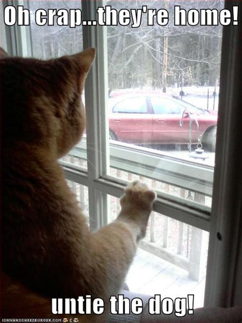 Photos of our fascinating world. Funny Picture Clip: funny animals Images With Captions ...