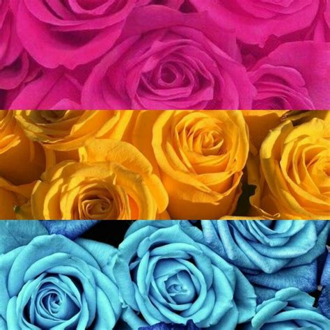 Replace your new tab with the pansexual aesthetic custom page, with games and pansexual aesthetic wallpaper. Pin by ShelleRae O'Connor on Beautiful Me | Pansexual pride