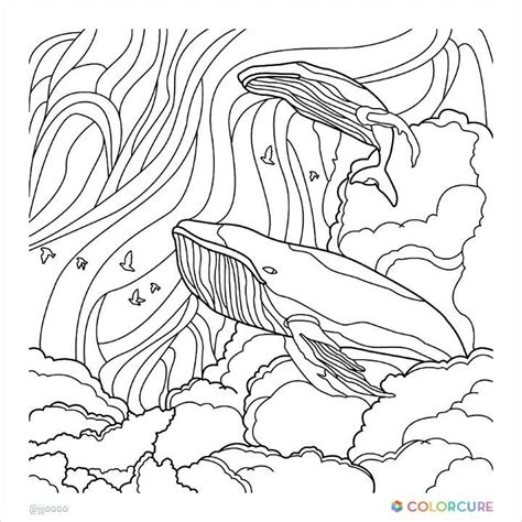 2) click on the coloring page image in the bottom half of the screen to make that frame active. Pin de Barbara en coloring dolphin, whale, shark