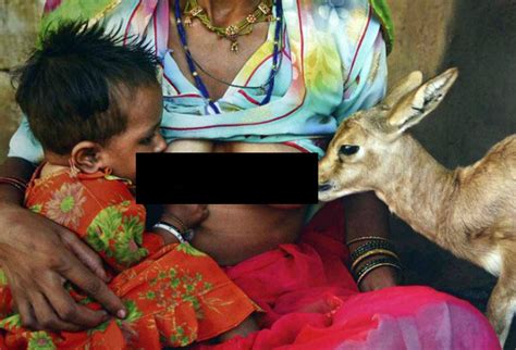 We did not find results for: Women Of This Indian Community Breastfeed Baby Deers And ...