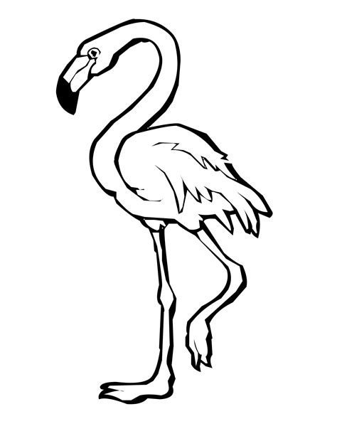 Flamingo coloring pages are black and white images with a lovely flamingo bird. Flamingo coloring pages to download and print for free