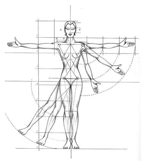 In drawings, people will sometimes draw fewer/lighter/no eyelashes on men, since eyelashes are considered feminine, and women often wear. Beginner´s Guide; Importance of Proper Body Proportions ...