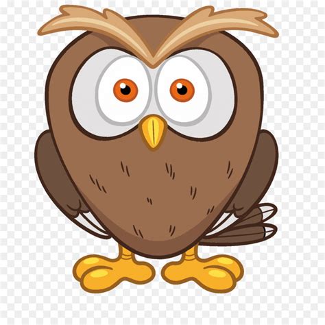 Jual wall paper stiker tembok burung hantu owl kartun khm049. 142 Gambar Ilustrasi Burung Hantu | Gambarilus