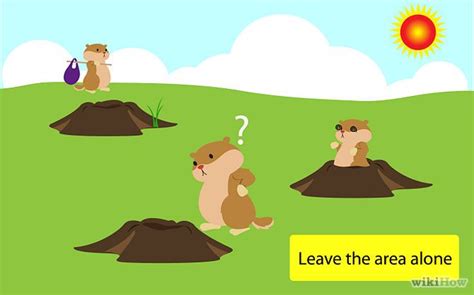 9 ways to protect your garden from groundhogs. How to Get Rid of Groundhogs | Get rid of groundhogs ...