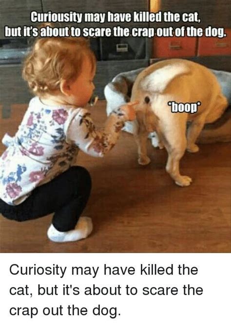They might be causing themselves problems by getting into things not concerning them. Curiosity killed the dog : funny