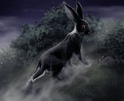 Check spelling or type a new query. The Black Rabbit of Inle by Nyctra | Watership down ...