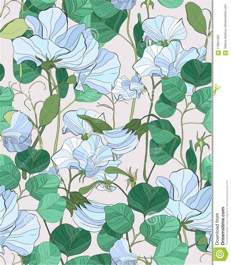 Check spelling or type a new query. Pretty Floral Pattern With Flowers Of Sweet Peas. Stock ...