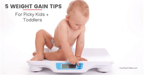 Check spelling or type a new query. 5 Ways to Increase Weight Gain for Kids (Picky Eaters ...