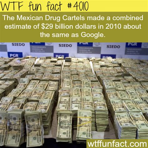 Do you have a bank account? how much does the mexican drug cartels make | Money, Wtf ...
