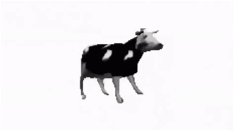 Dancing polish cow (loli cover) | earth chan. Dancing Polish Cow At4am GIF - DancingPolishCowAt4am ...