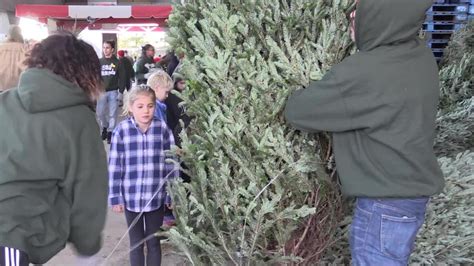 Christmas trees at stew leonard s. Stew Leonard's Christmas Trees 2020 / Celebrating More ...