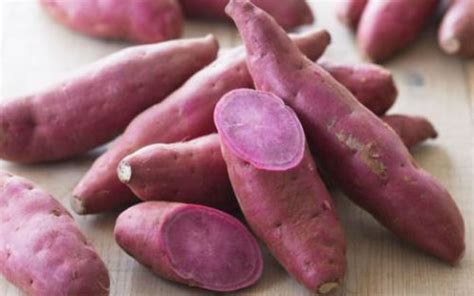 Ubi keledek jepun atau japanese sweet potato semakin mendapat tempat bagi pengguna malaysia. 9 Khasiat Ubi Keledek Baik Untuk Kesihatan