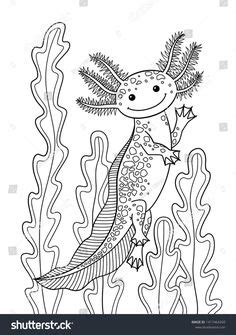 This theme comes with unique user. axolotl coloring page | axolotl line drawing b | Axolotl ...