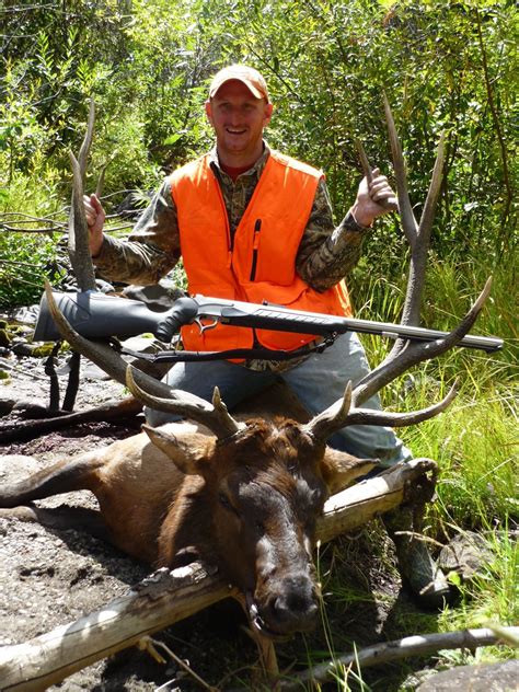 What season should i elk hunt in. DIY Elk, Mule Deer & Black Bear hunt in Colorado