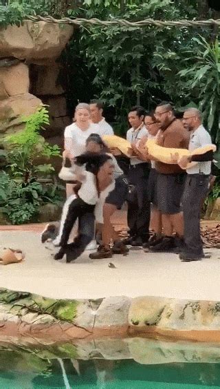 If you wish to have an elegant dining. Tourist Reacting To Giant Python At Singapore Zoo's Show ...