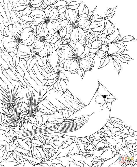 Parents, teachers, churches and recognized nonprofit these free, printable coloring pages are great fun for kids during the holiday season! Cardinal Coloring Pages - GetColoringPages.com