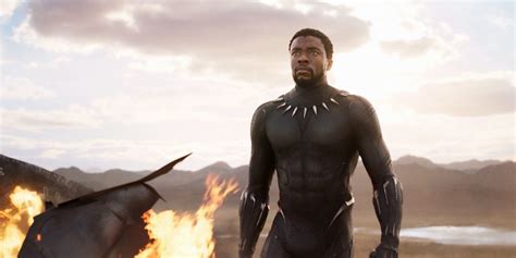 Chadwick boseman, lupita nyong'o, michael b. 映画『ブラックパンサー』のテクノロジーを支える物質「ヴィブラニウム」は実在するかもしれない｜WIRED.jp