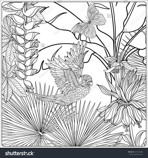 Coloring page with tropical fish in a4 format as anti stress for printing, outline vector stock illustration with cute fish and. Tropical wild birds and plants. Tropical garden collection ...