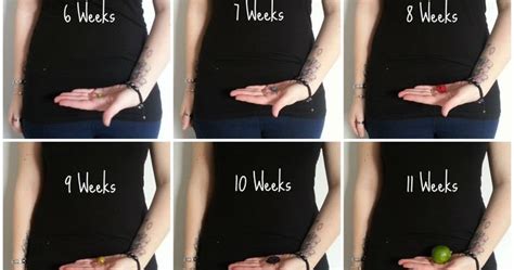 Tips makanan ibu hamil uk 6 minggu dan usg normal. Senang Hamil: Berjaya Hamil - Pernah Keguguran Dan Ada Cyst