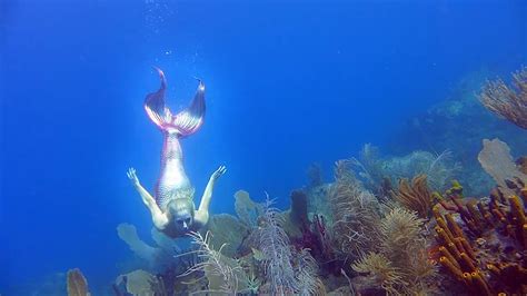 Mediaphotos illustrations vecteurs vidéos musique. Une vraie sirène en Guadeloupe - Real mermaid in ...