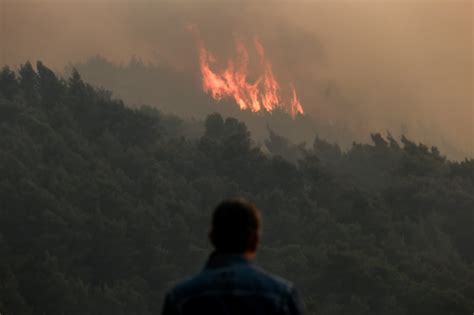 Η αναζωπυρώση πλέον έχει κλείσει τον κύκλο της. Αναζωπύρωση της φωτιάς στα Μέγαρα Αττικής: Εκκενώνεται ο ...