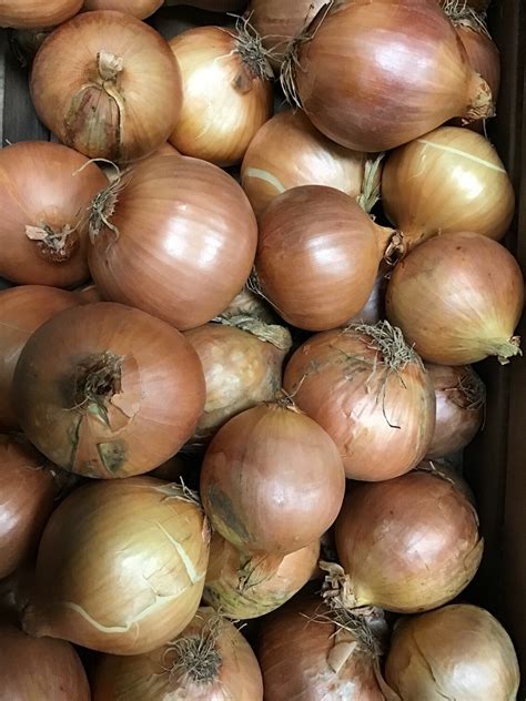 Brown onions 500g