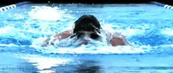 The perfect swimming olympic animated gif for your conversation. 10+ Mejor Para Tiburones Nadando Gif - Olympic Dream