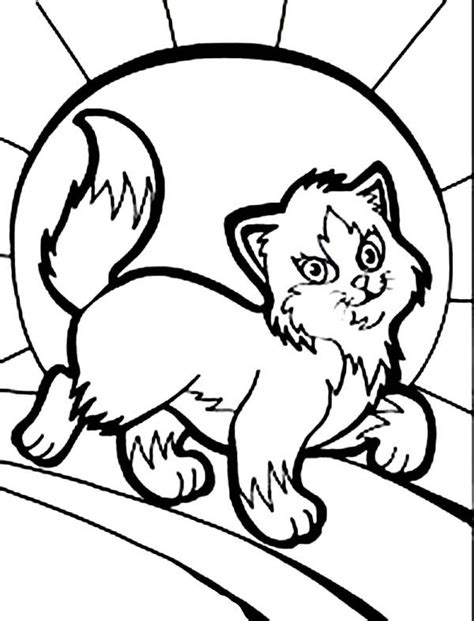 Check spelling or type a new query. Pin on Kitty Cat Coloring Page