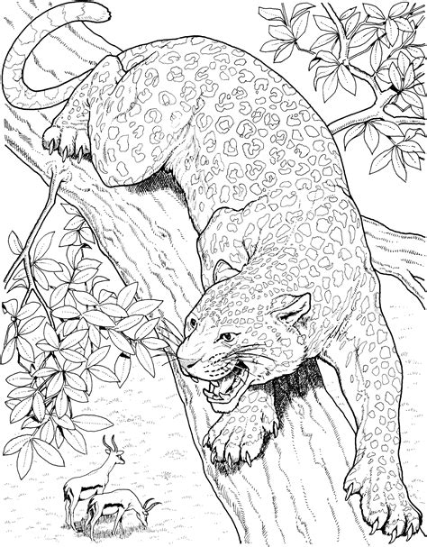 849x1200 cute cartoon jaguar coloring page free printable coloring pages. Jaguar coloring pages to download and print for free