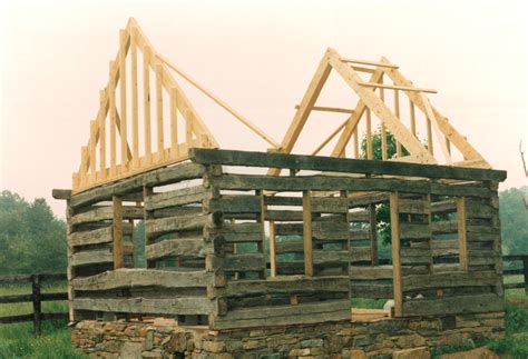 Whilst it's true, most tree species are suitable, providing that they grow straight and tall. A hewn cabin... part 4 - Handmade Houses... with Noah Bradley