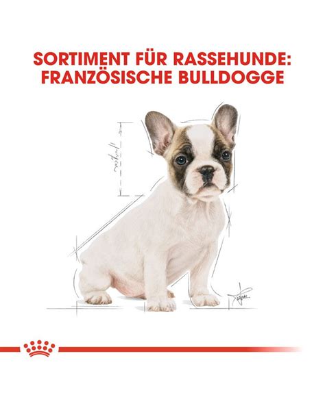 The french bulldog is a small dog breed that is just adorable. ROYAL CANIN French Bulldog Puppy Welpenfutter trocken für ...