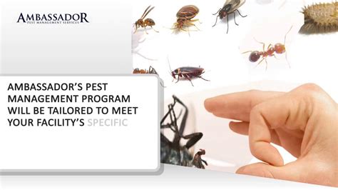 Pest control west palm beach. Pest Control Palm Beach Gardens - Palm Beach Gardens, FL ...