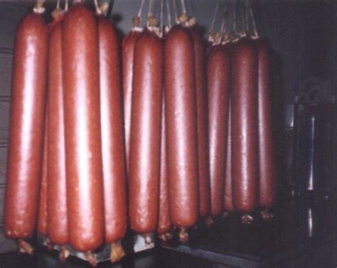 I've made it for the last 50 years and it was old when i got it. Best Smoked Summer Sausage Recipe / Best Trail Bologna ...