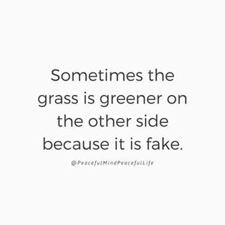 Just as the present yard you stand on, that is neglected and. Sometimes the grass is greener on the other side because it's fake. The grass isn't always ...