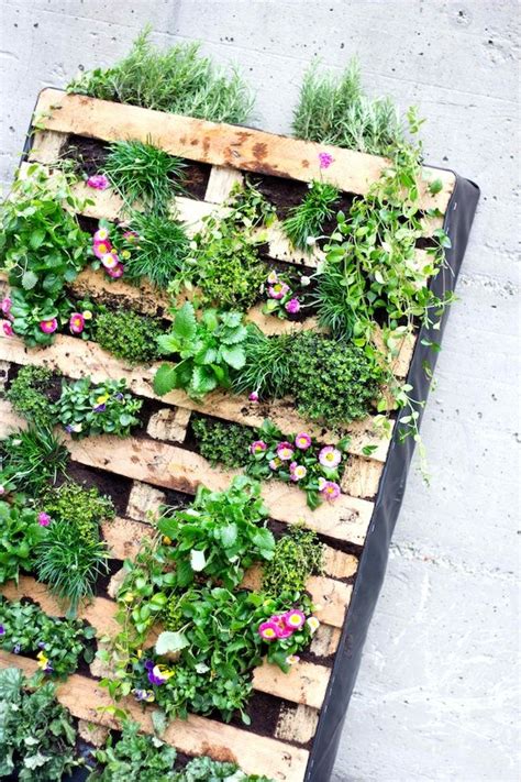 Rein gestalterisch sind gartenmauern jedoch auch für ebene gärten ein gewinn: Frische Pflanzen, bessere Heil- und Lebensmittel ...