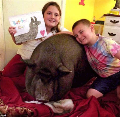 Watch my wife with another man: Florida family forced to either move or get rid of their ...