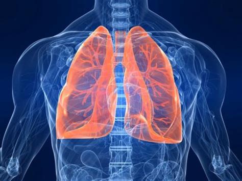 Is it possible for the doctor to mistake a possible lung cancer for tb? Get lung cancer aware during November | HSC Public Health ...