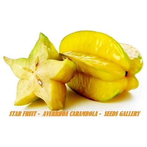 Arkin is the most commonly grown variety due to it sweeter flavor. Star Fruit Tree Seeds Averrhoa carambola - 4€ | Fruit ...